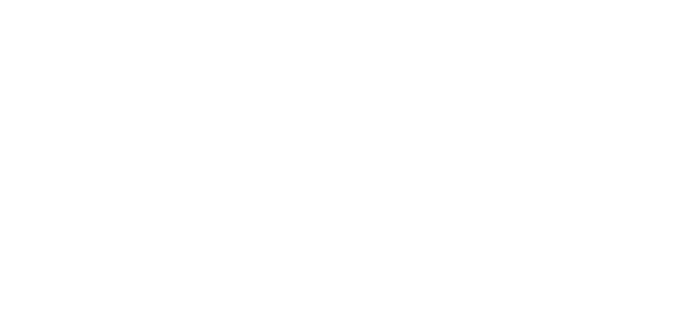 外贸建站 WordPress独立站服务