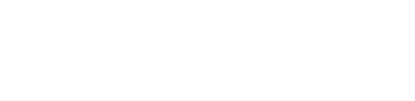 定制化开发服务